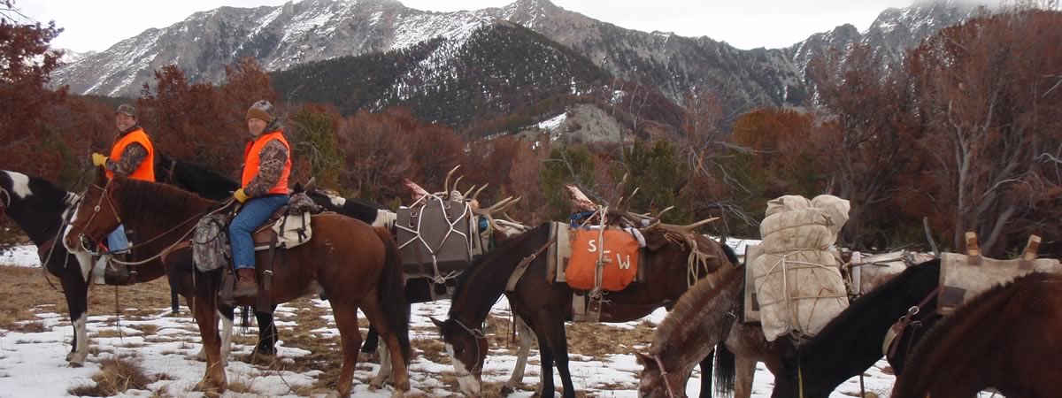 Guided Hunting Trip in Montana