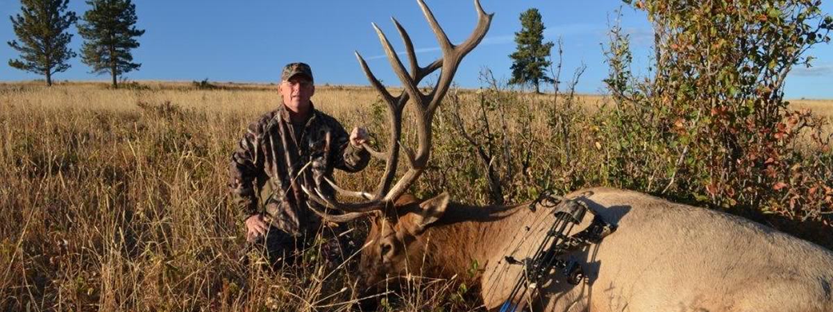 Montana Guided Elk Hunting