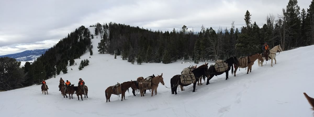 Montana Guided Hunt Information